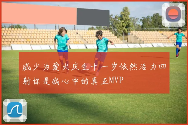 威少为爱犬庆生十一岁依然活力四射你是我心中的真正MVP