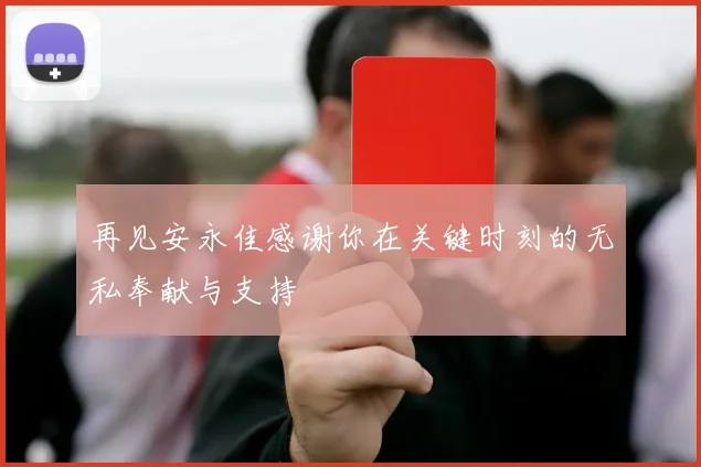 再见安永佳感谢你在关键时刻的无私奉献与支持