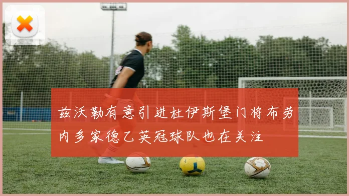 兹沃勒有意引进杜伊斯堡门将布劳内多家德乙英冠球队也在关注