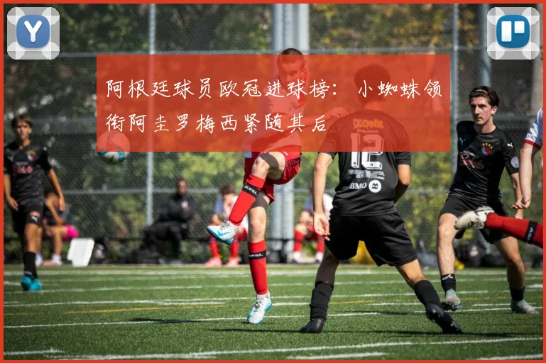 阿根廷球员欧冠进球榜：小蜘蛛领衔阿圭罗梅西紧随其后