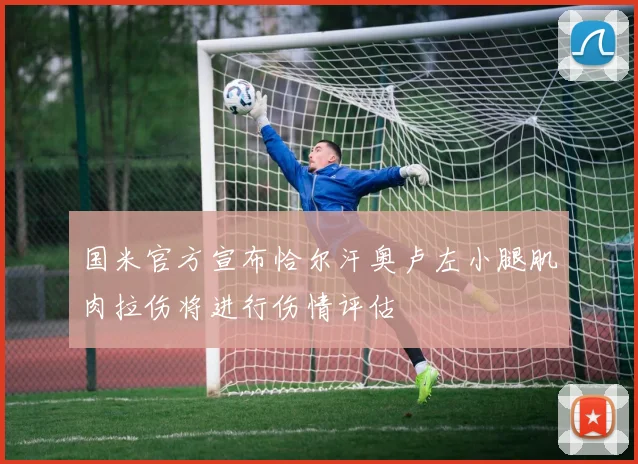 国米官方宣布恰尔汗奥卢左小腿肌肉拉伤将进行伤情评估